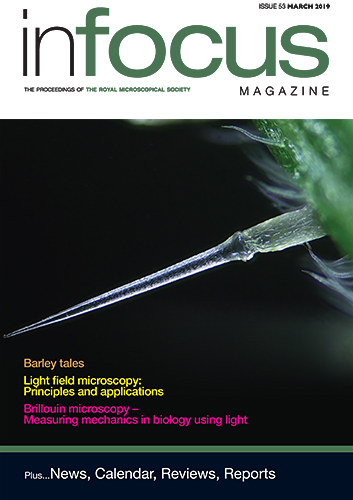 Front cover of infocus March 2019 (issue 53)