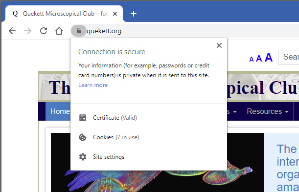 Closed padlock icon in Google Chrome browser