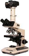 Olympus BH-2 microscope with Canon digital SLR camera