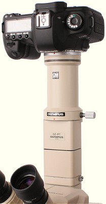 Canon EOS digital SLR on an Olympus SZ4045 stereo microscope