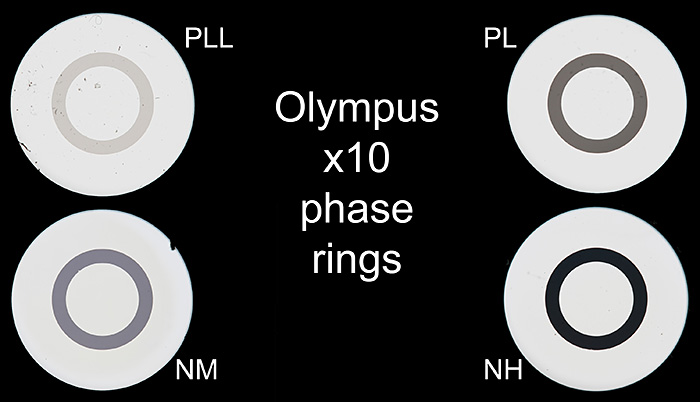 Olympus phase rings