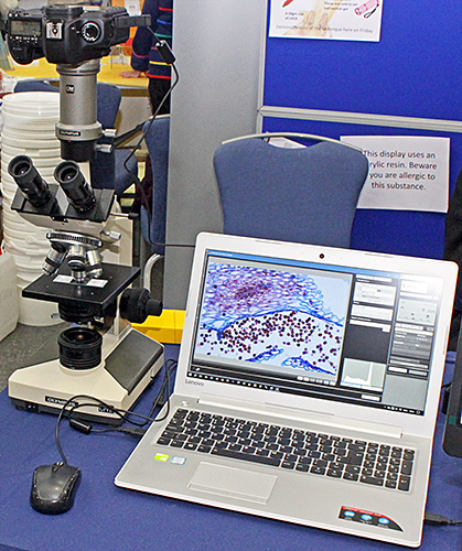 Olympus CH-2 microscope and Canon EOS 5D Mark II camera