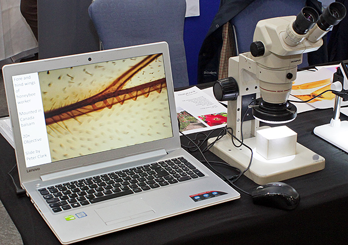 My laptop and stereo at National Honey Show