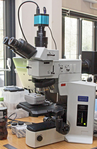 Olympus BX51M metallurgical microscope