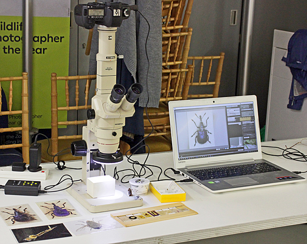 SZ4045 stereo microscope set up for photomicrography